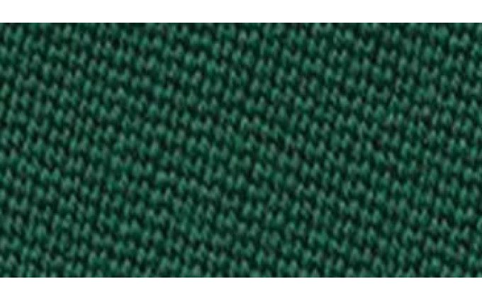 Сукно Simonis 760 ш1,98м Yellow green